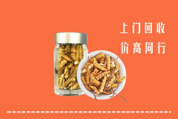鹤岗市南山区回收冬虫夏草